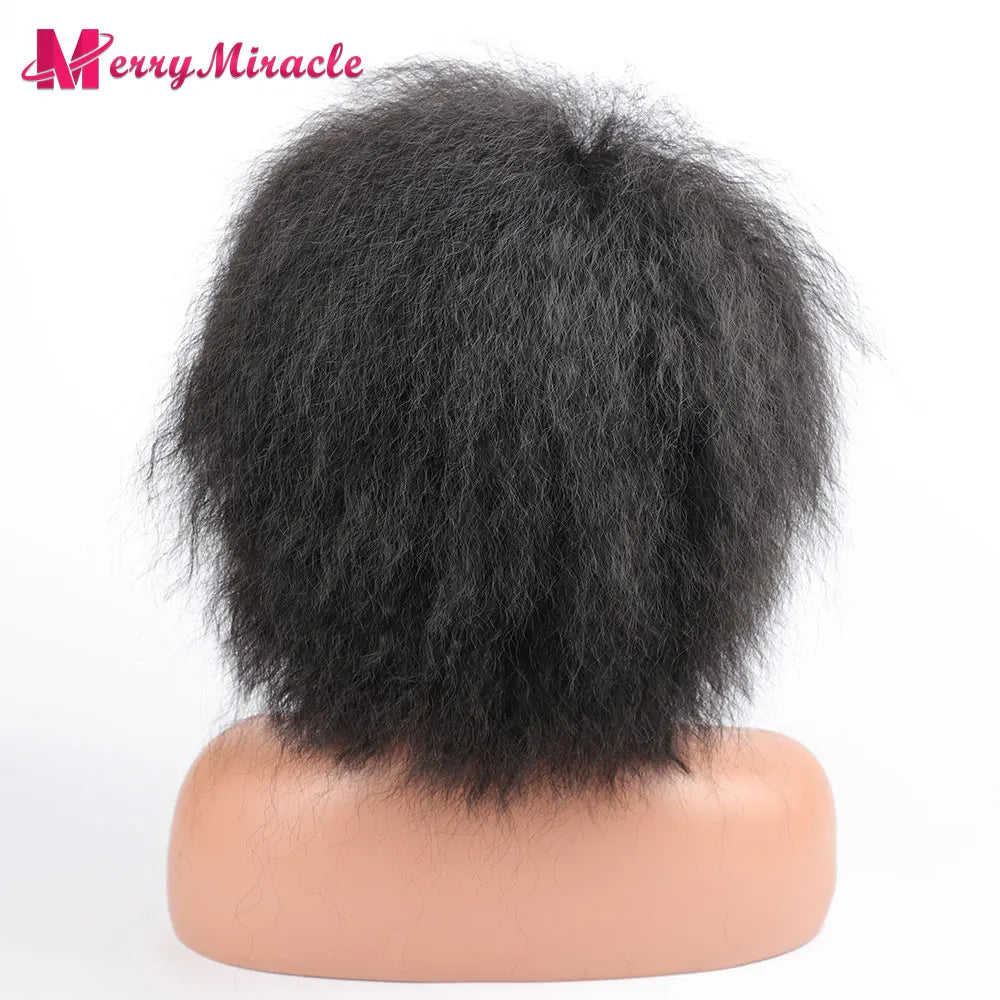 Short Fluffy Straight Synthetic Wig for Black Women Kinky Straight Hair Natural Color Afro Wigs for Women